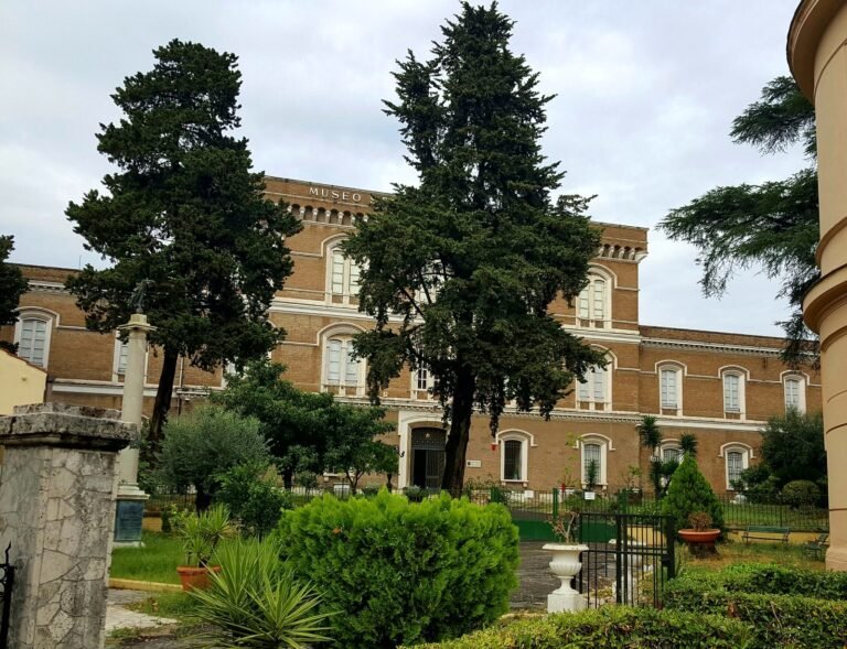 museo fanteria roma scaled 1 768x589