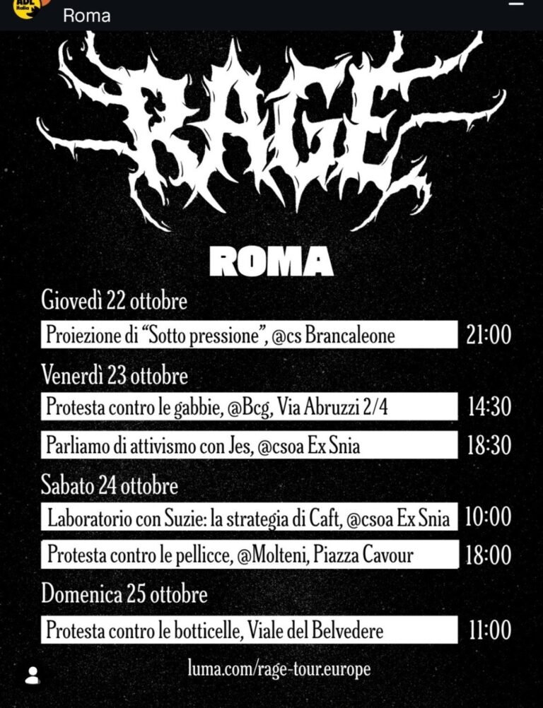 rage tour 1 768x1002